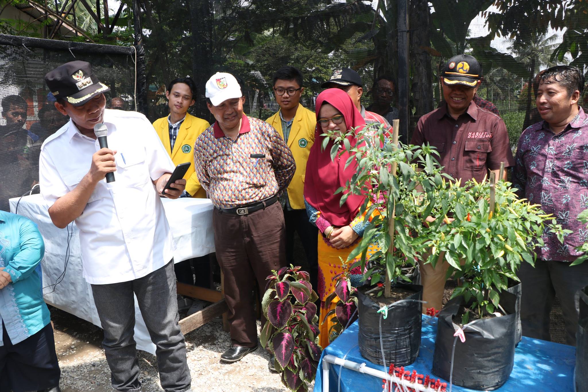 Wali Kota Panen Pedet dan Launching Agrotek Farm System di Kelurahan Agrowisata