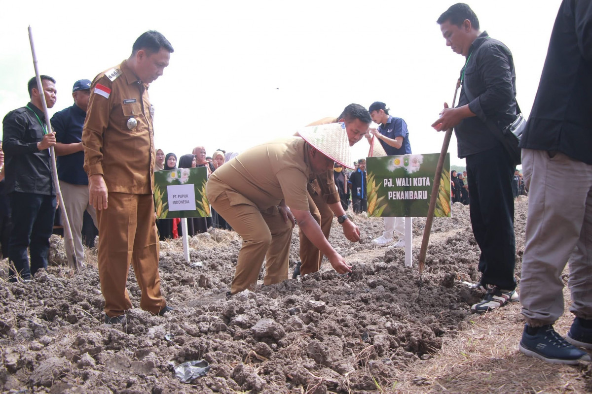 Pj Wali Kota Pekanbaru Dukung Swasembada Pangan, Harus Mandiri dan Optimal