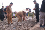 Image : Pj Wali Kota Pekanbaru Dukung Swasembada Pangan, Harus Mandiri dan Optimal