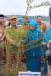 Image : Wali Kota Pekanbaru Gerakkan Penanaman 15.000 Pohon di Hari Pertama Kerja