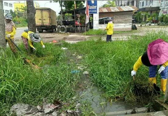 Dinas PUPR Bersihkan Sisa Pohon Tumbang yang Menutupi Drainase Jalan Riau